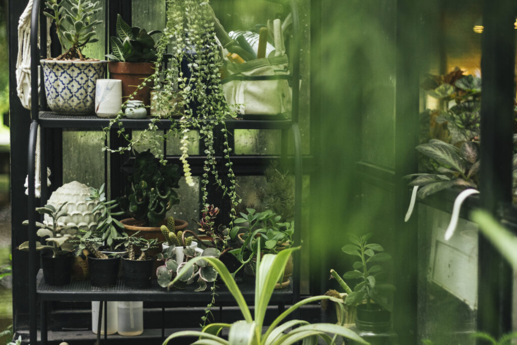 Vertical garden balcony in a Bengaluru urban apartment
