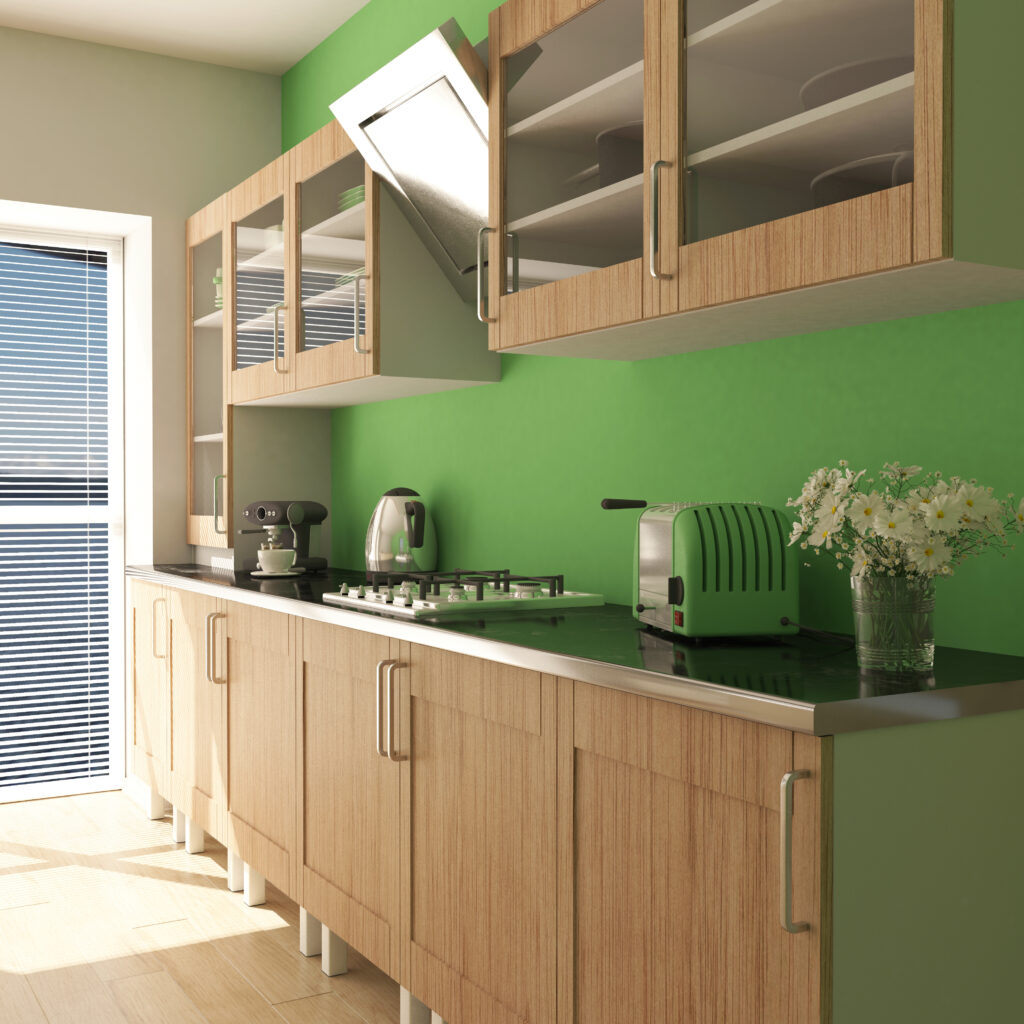contemporary kitchen interior