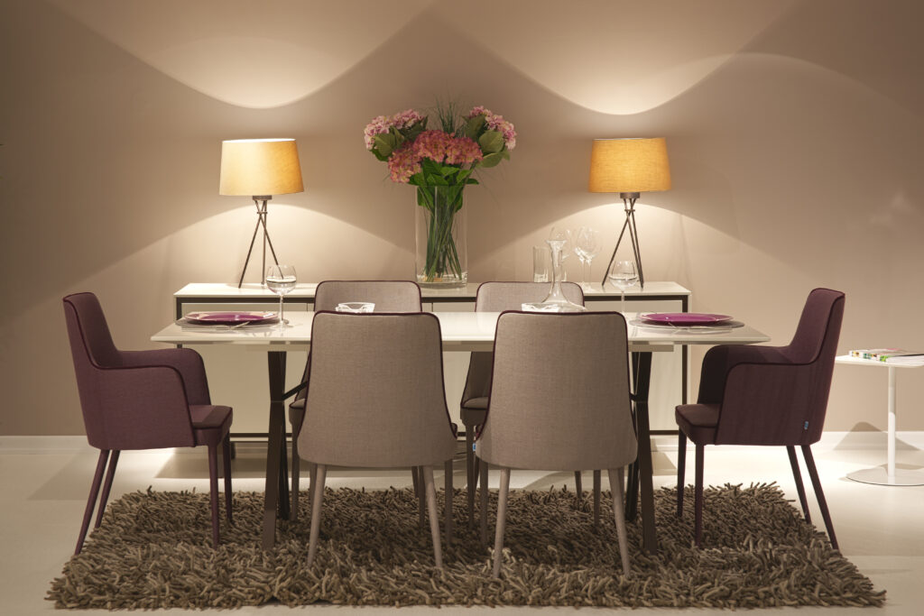 Luxury Dinner Room